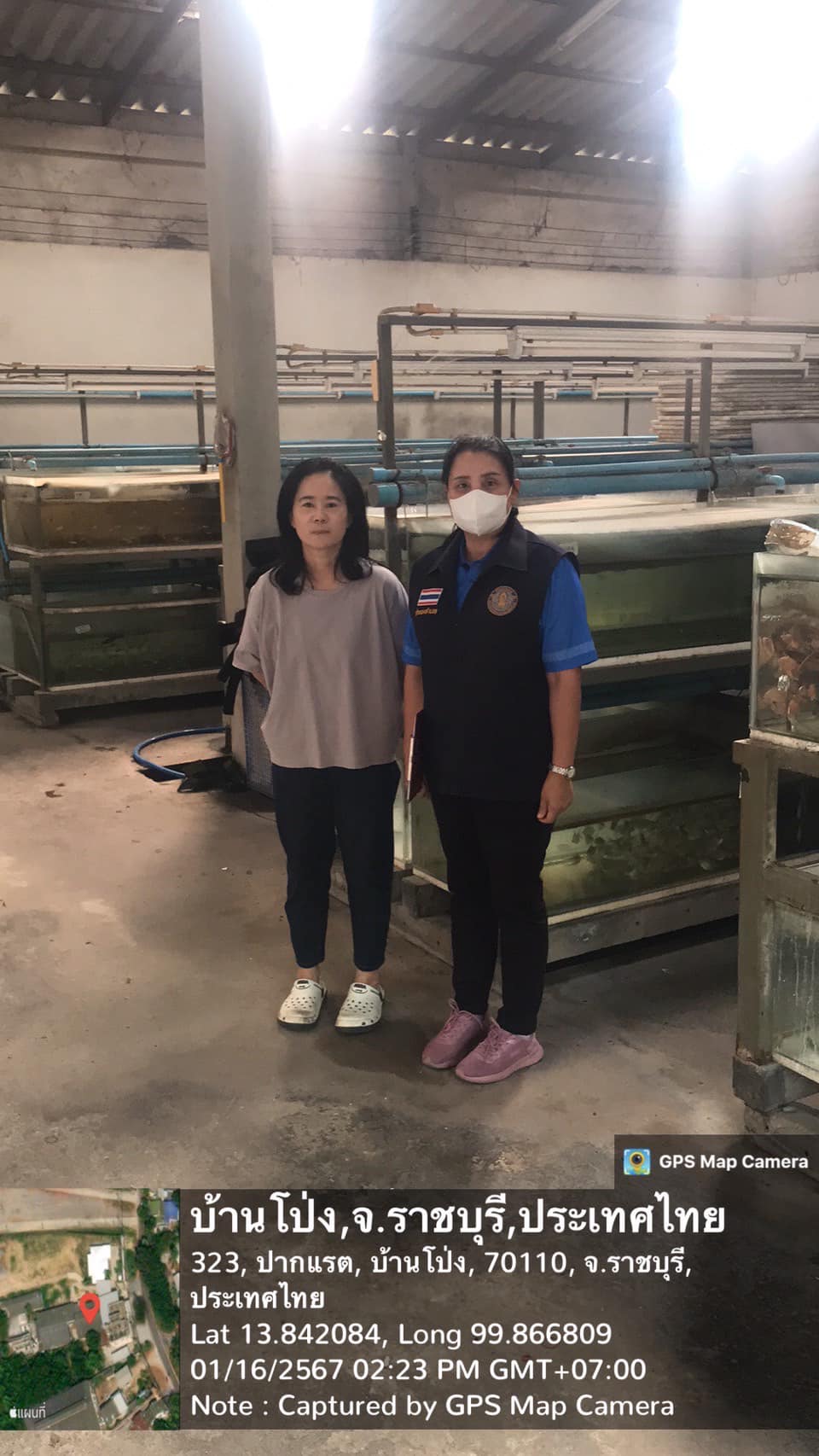 ลงพื้นที่ตรวจสอบการครอบครองปลาหมูอารีย์ เพื่อขอต่อใบอนุญาตให้ค้าสัตว์ป่าคุ้มครองที่ได้มาจากการเพาะพันธุ์ (สป.11)..คลิก