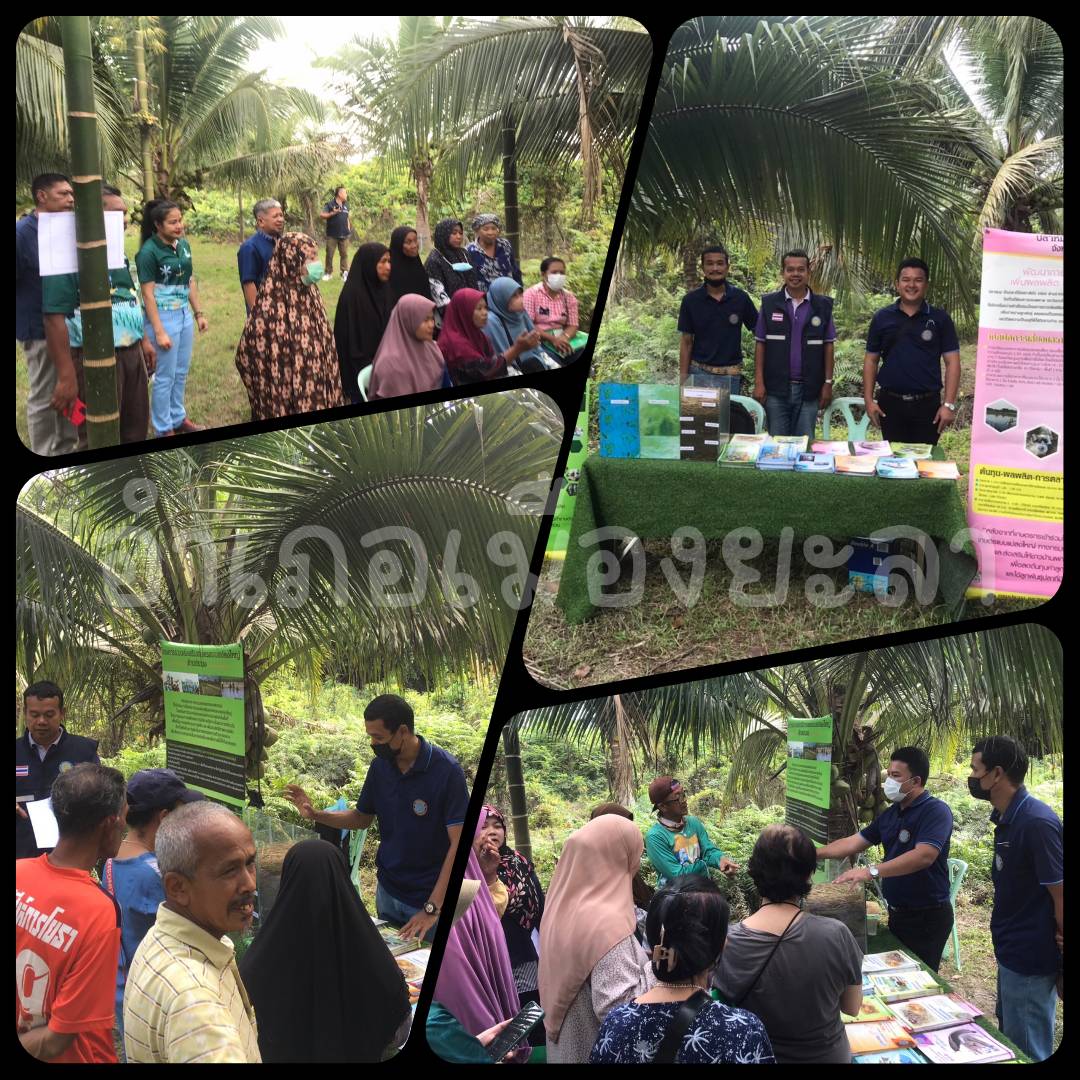 ผลการปฏิบัติงานประจำวันอังคาร ที่ 16 มกราคม 2567..คลิก