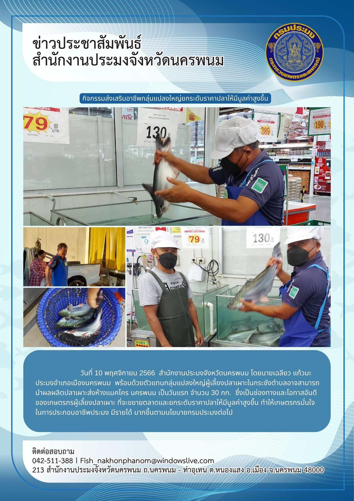 นำผลผลิตปลาเผาะส่งห้างแมคโคร นครพนม..คลิก