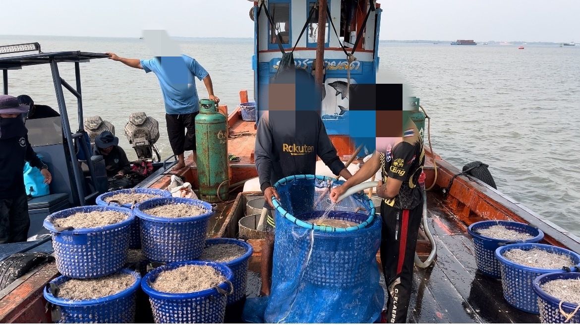 จับกุมเรือประมงพาณิชย์ ได้รับอนุญาตเครื่องมืออวนรุนเคย ขนถ่ายสัตว์น้ำโดยไม่ได้รับอนุญาต..คลิก