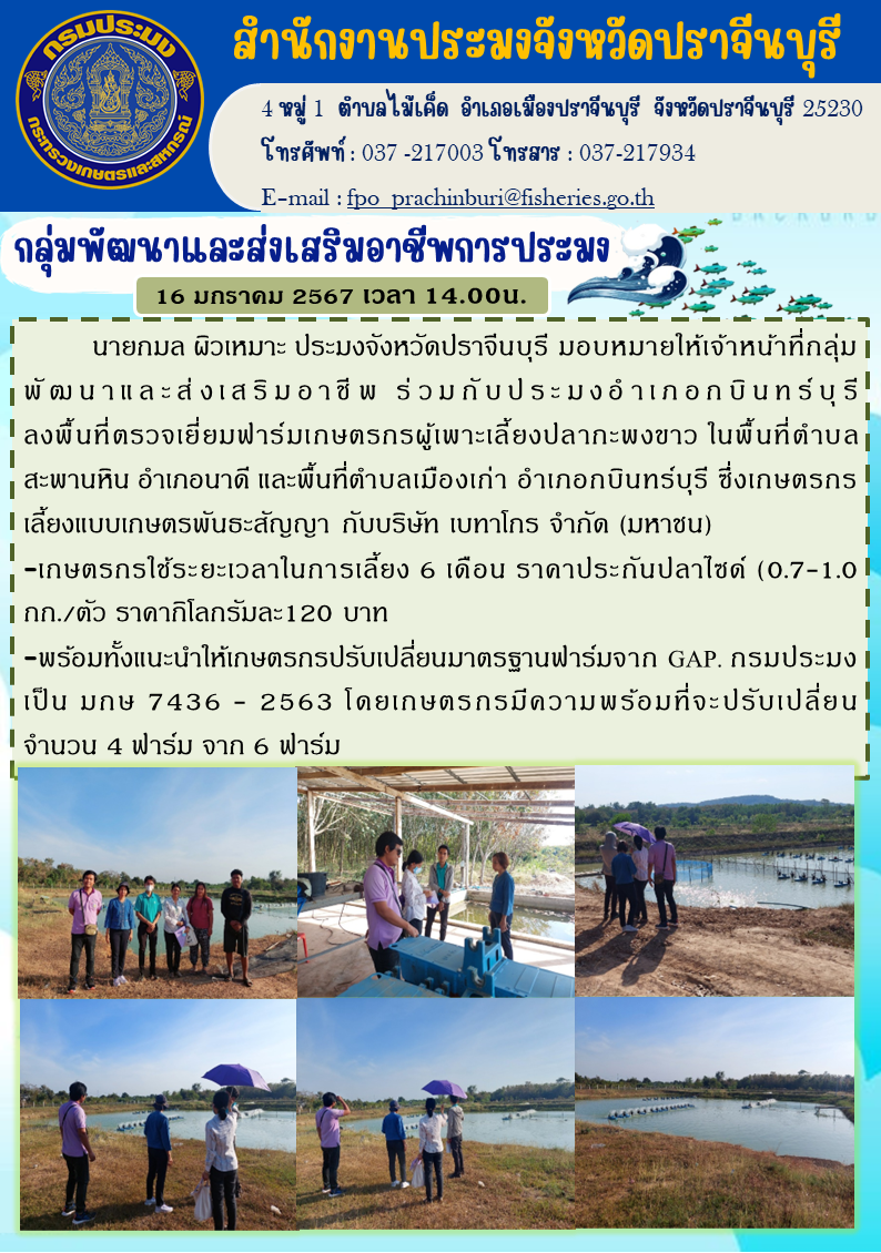 ข่าวประชาสัมพันธ์ กลุ่มพัฒนาและส่งเสริมอาชีพประมง ลงพื้นที่ตรวจเยี่ยมฟาร์มเกษตรกรผู้เพาะเลี้ยงปลากะพงขาว..คลิก