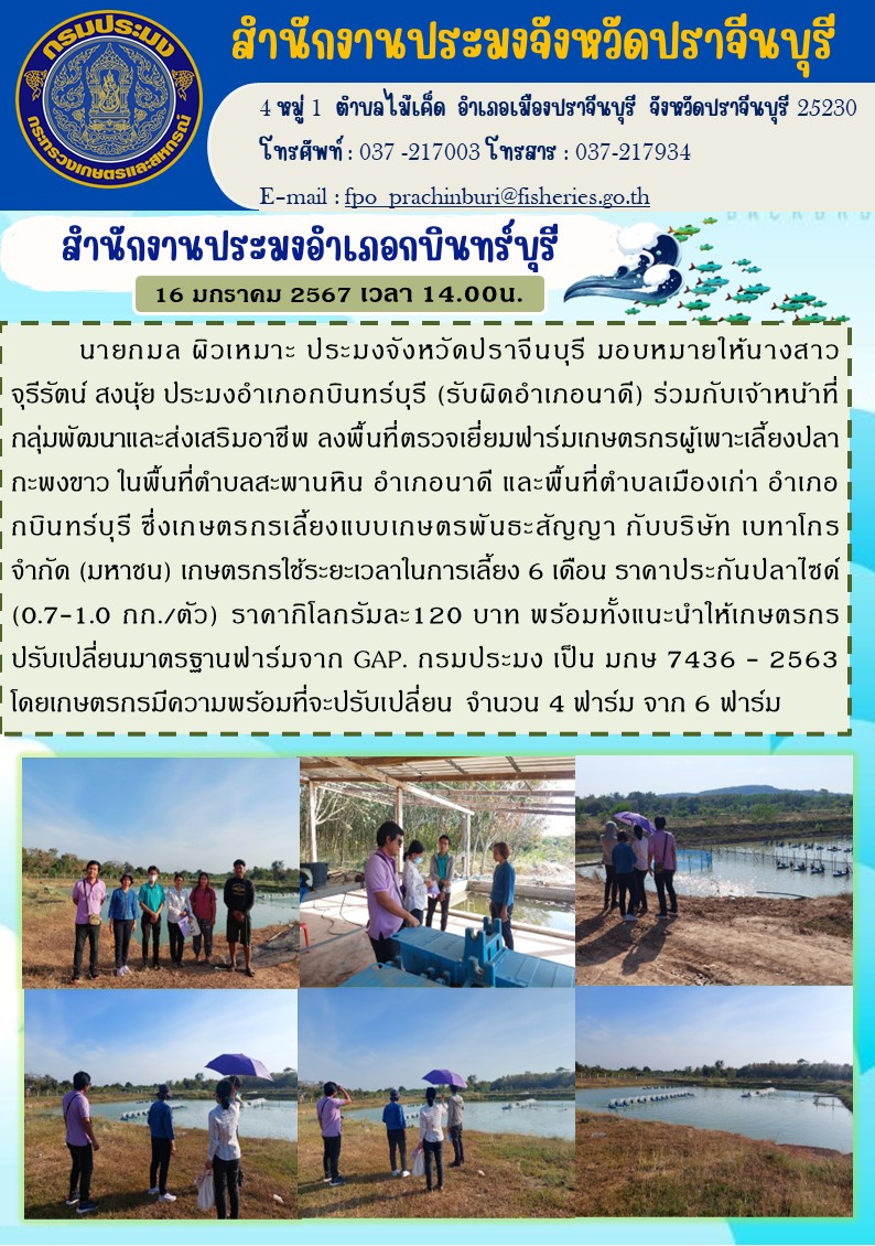 ข่าวประชาสัมพันธ์ สำนักงานประมงอำเภอกบินทร์บุรี ลงพื้นที่ตรวจเยี่ยมฟาร์มเกษตรกรผู้เพาะเลี้ยงปลากะพงขาว ในพื้นที่ตำบลสะพานหิน..คลิก