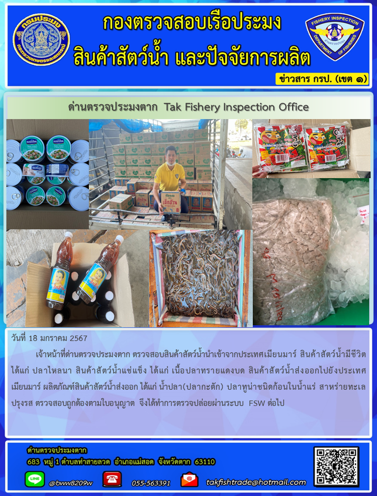 วันที่ 18 มกราคม 2567            เจ้าหน้าที่ด่านตรวจประมงตาก ตรวจสอบสินค้าสัตว์น้ำนำเข้าจากประเทศเมียนมาร์ สินค้าสัตว์น้ำมีชีวิต ได้แก่ ปลาไหลนา สินค้าสัตว์น้ำแช่แข็ง ได้แก่ เนื้อปลาทรายแดงบด สินค้าสัตว์น้ำส่งออกไปยังประเทศเมียนมาร์ ผลิตภัณฑ์สินค้าสัตว์น้ำส่งออก ได้แก่ น้ำปลา(ปลากะตัก) ปลาทูน่าชนิดก้อนในน้ำแร่ สาหร่ายทะเลปรุงรส ตรวจสอบถูกต้องตามใบอนุญาต จึงได้ทำการตรวจปล่อยผ่านระบบ FSW ต่อไป..คลิก