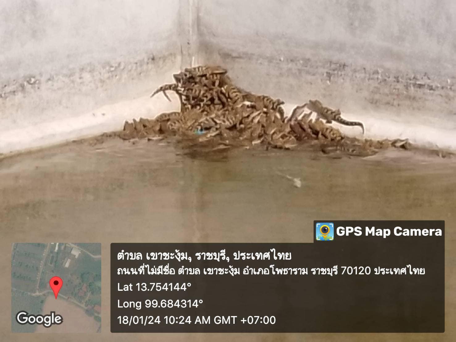 ลงพื้นที่ตรวจติดตามและประเมินฟาร์มจระเข้ ประจำปี 2567 ตามพระราชบัญญัติสงวนและคุ้มครองสัตว์ป่า พ.ศ.2562..คลิก