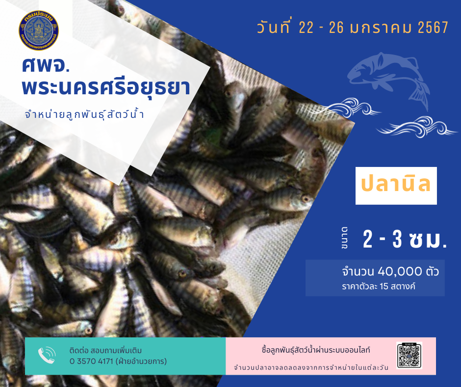 ชนิดพันธ์ุสัตว์น้ำพร้อมจำหน่าย (22-26 มกราคม 2566) ศพจ.พระนครศรีอยุธยา..คลิก