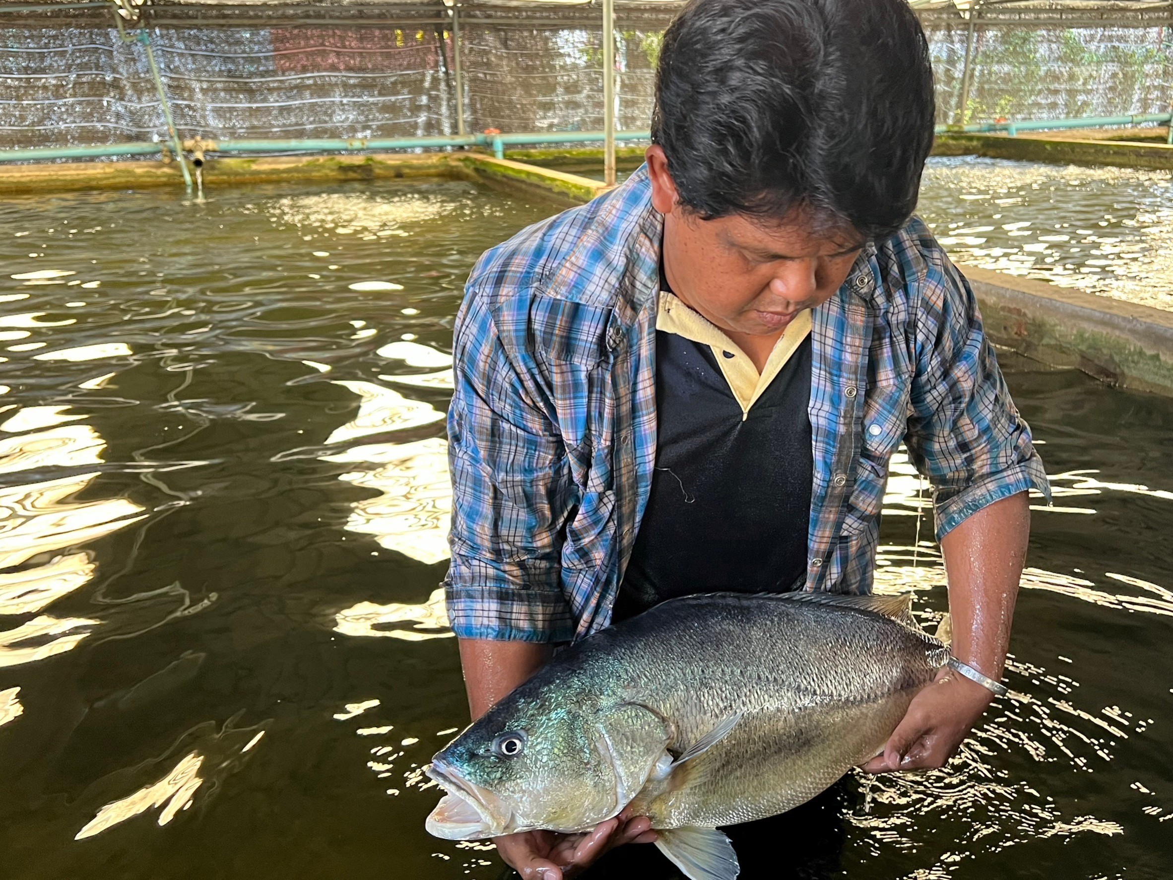 ลงพื้นที่จังหวัดสุพรรณบุรีเพื่อติดตามความก้าวหน้าการดำเนินงานโครงการส่งเสริมและพัฒนาสินค้าเกษตรอัตลักษณ์พื้นถิ่น