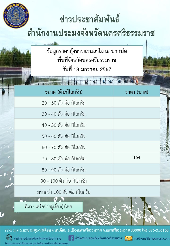 ราคากุ้งขาวแวนนาไม ณ ปากบ่อ พื้นที่จังหวัดนครศรีธรรมราช วันที่ 18 มกราคม 2567