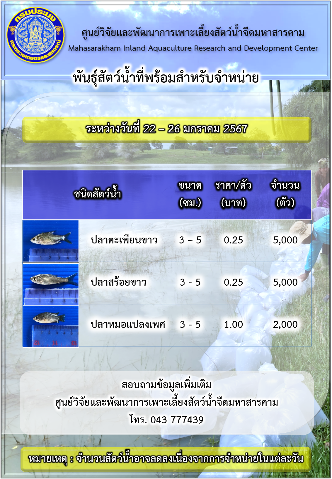 พันธุ์สัตว์น้ำที่พร้อมสำหรับจำหน่าย ระหว่างวันที่ 22 – 26 มกราคม 2567..คลิก