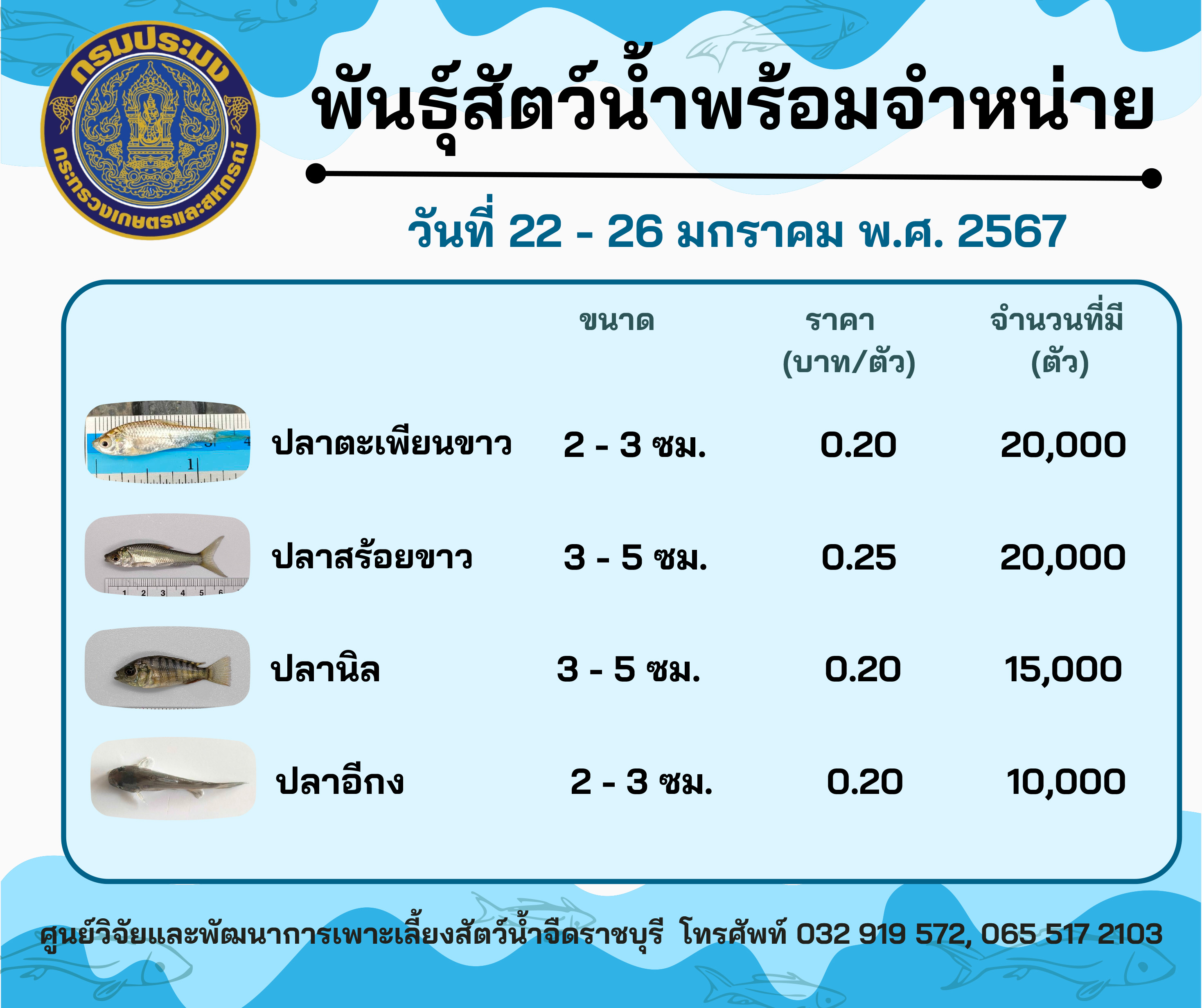 ลูกพันธุ์สัตว์น้ำพร้อมจำหน่าย ประจำวันที่ 22 - 26 มกราคม พ.ศ. 2567..คลิก