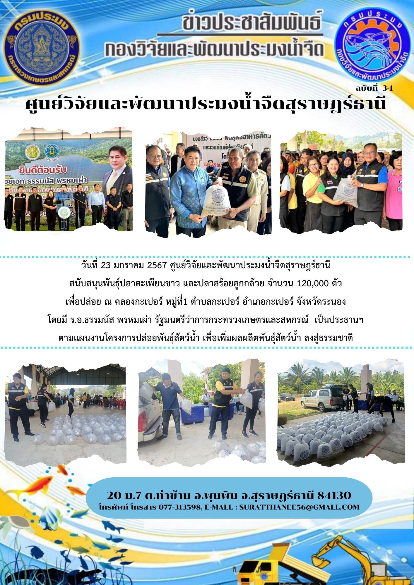 วันที่ 23 มกราคม 2567 ศูนย์วิจัยและพัฒนาประมงน้ำจืดสุราษฎร์ธานี  สนับสนุนพันธุ์ปลาตะเพียนขาว และปลาสร้อยลูกกล้วย จำนวน 120,000 ตัว เพื่อปล่อย ณ คลองกะเปอร์ หมู่ที่1 ตำบลกะเปอร์ อำเภอกะเปอร์ จังหวัดระนอง