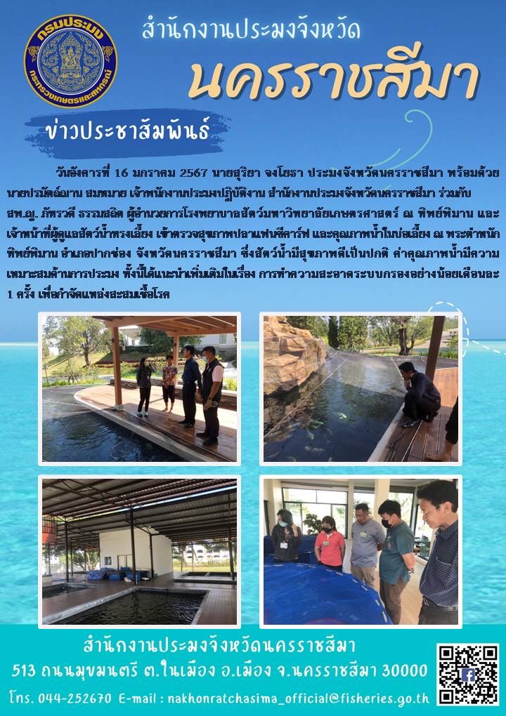 นายสุริยา จงโยธา ประมงจังหวัดนครราชสีมา และเจ้าหน้าที่สำนักงานฯ  ร่วมกับ สพ.ญ.ภัทรวดี ธรรมสถิต ผู้อำนวยการโรงพยาบาลสัตว์มหาวิทยาลัยเกษตรศาสตร์ ณ ทิพย์พิมาน และเจ้าหน้าที่ผู้ดูแลสัตว์น้ำทรงเลี้ยง เข้าตรวจสุขภาพปลาแฟนซีคาร์ฟ และคุณภาพน้ำในบ่อเลี้ยง ณ พระตำหนักทิพย์พิมาน อำเภอปากช่อง..คลิก