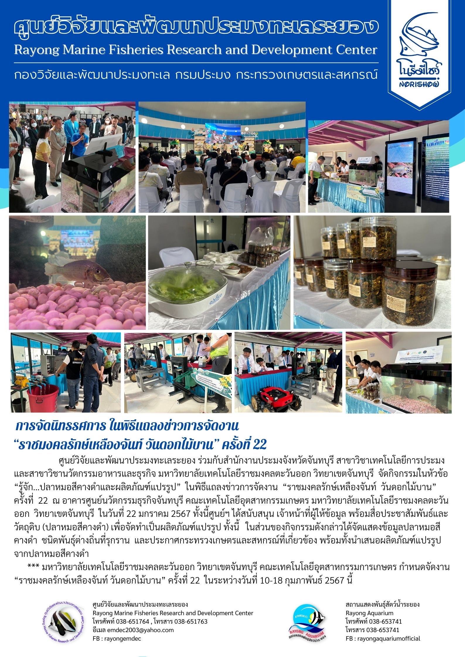 ศูนย์วิจัยและพัฒนาประมงทะเลระยอง ร่วมกับสำนักงานประมงจังหวัดจันทบุรี สาขาวิชาเทคโนโลยีการประมงและสาขาวิชานวัตกรรมอาหารและธุรกิจ มหาวิทยาลัยเทคโนโลยีราชมงคลตะวันออก วิทยาเขตจันทบุรี จัดกิจกรรมในหัวข้อ “รู้จัก...ปลาหมอสีคางดำและผลิตภัณฑ์แปรรูป” ในพิธีแถลงข่าวการจัดงาน “ราชมงคลรักษ์เหลืองจันท์ วันดอกไม้บ้าน” ครั้งที่ 22 ฯลฯ..คลิก