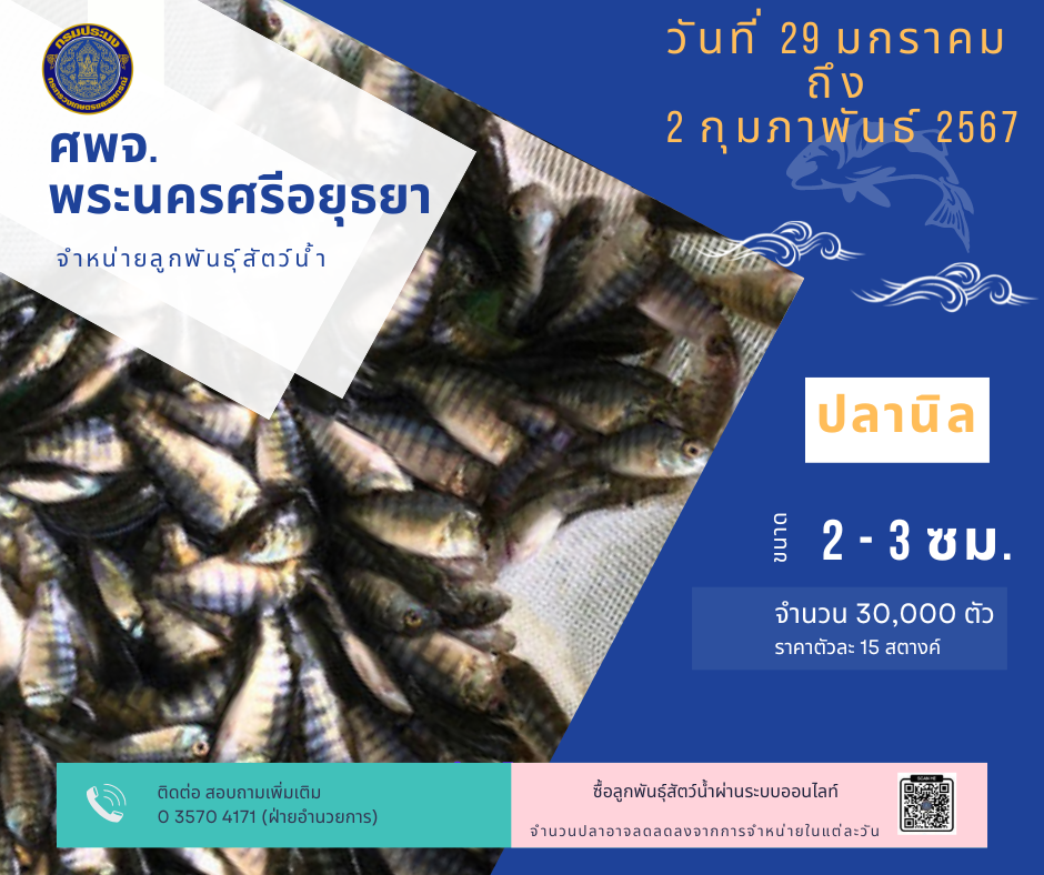 ชนิดพันธ์ุสัตว์น้ำพร้อมจำหน่าย (29 มกราคม - 2 กุมภาพันธ์ 2567) ศพจ.พระนครศรีอยุธยา..คลิก