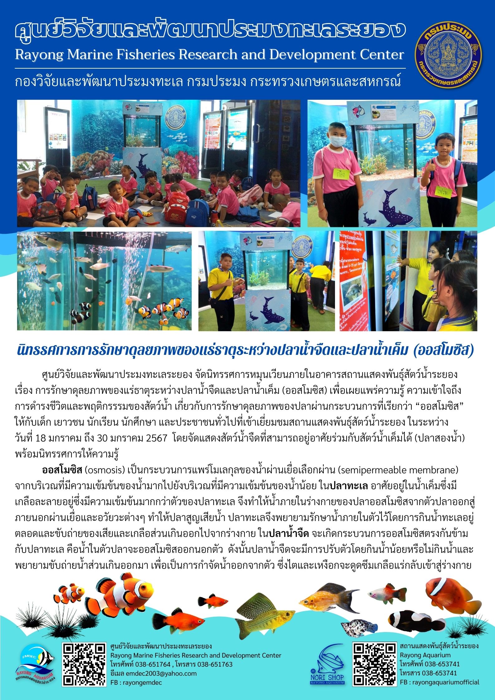 ศูนย์วิจัยและพัฒนาประมงทะเลระยอง จัดนิทรรศการหมุนเวียนภายในอาคารสถานแสดงพันธุ์สัตว์น้ำระยอง เรื่อง การรักษาดุลยภาพของแร่ธาตุระหว่างปลาน้ำจืดและปลาน้ำเค็ม (ออสโมซิส) เพื่อเผยแพร่ความรู้ ความเข้าใจถึงการดำรงชีวิตและพฤติกรรมของสัตว์น้ำ เกี่ยวกับการรักษาดุลยภาพของปลาผ่านกระบวนการที่เรียกว่า “ออสโมซิส” ให้กับเด็ก เยาวชน นักเรียน นักศึกษา และประชาชนทั่วไปที่เข้าเยี่ยมชมสถานแสดงพันธุ์สัตว์น้ำระยองในระหว่าง วันที่ 18 มกราคม ถึง 30 มกราคม 2567 ฯลฯ..คลิก