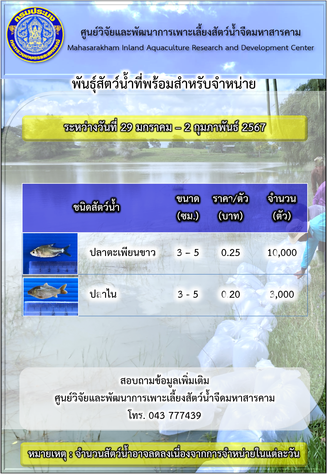 พันธุ์สัตว์น้ำที่พร้อมสำหรับจำหน่าย ระหว่างวันที่ 29 มกราคม - 2 กุมภาพันธ์ 2567..คลิก