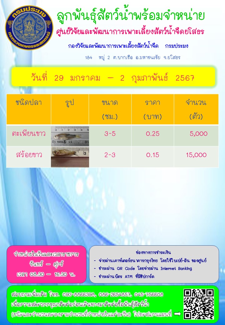 ลูกพันธุ์สัตว์น้ำพร้อมจำหน่าย 29 ม.ค. - 2 ก.พ. 2567..คลิก