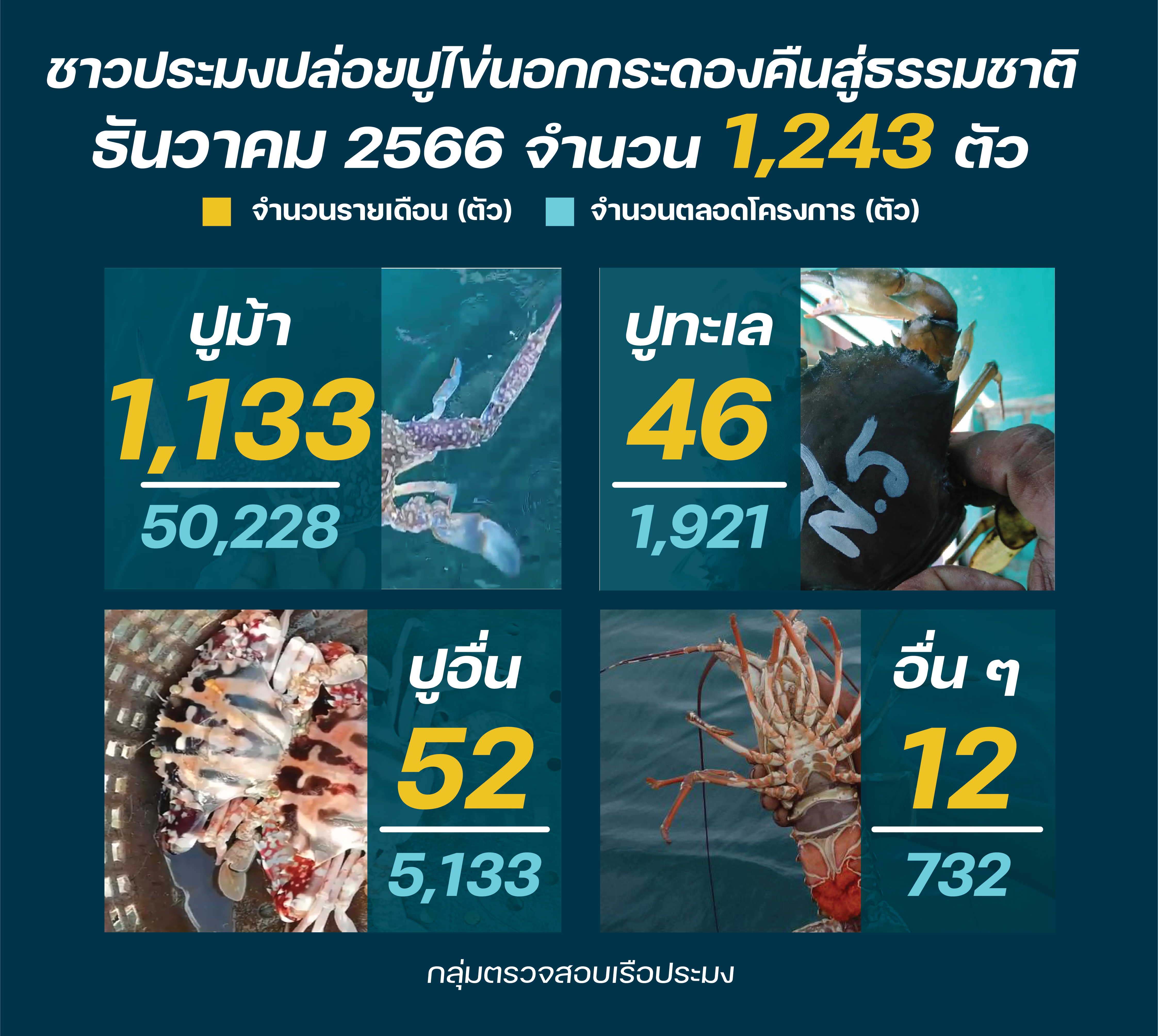 ชาวประมง ปล่อยปูไข่ ธันวาคม 2566..คลิก