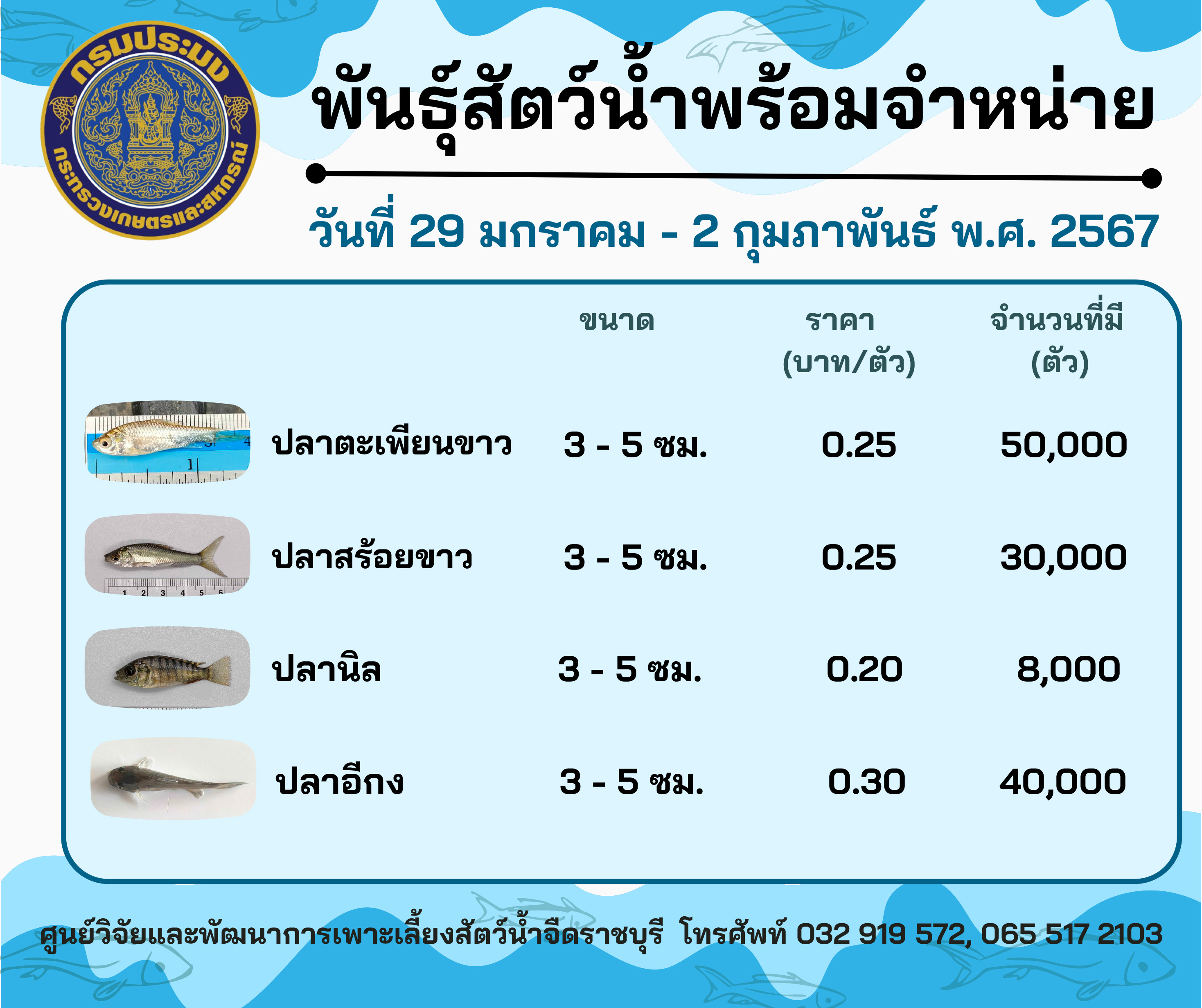 ลูกพันธุ์สัตว์น้ำพร้อมจำหน่ายสัปดาห์นี้ วันที่ 29 มกราคม - 2 กุมภาพันธ์ พ.ศ. 2567