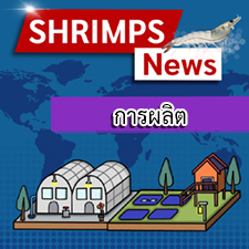 Billund Aquaculture และ Aquapurna จะสร้างฟาร์มกุ้งแบบ land-based