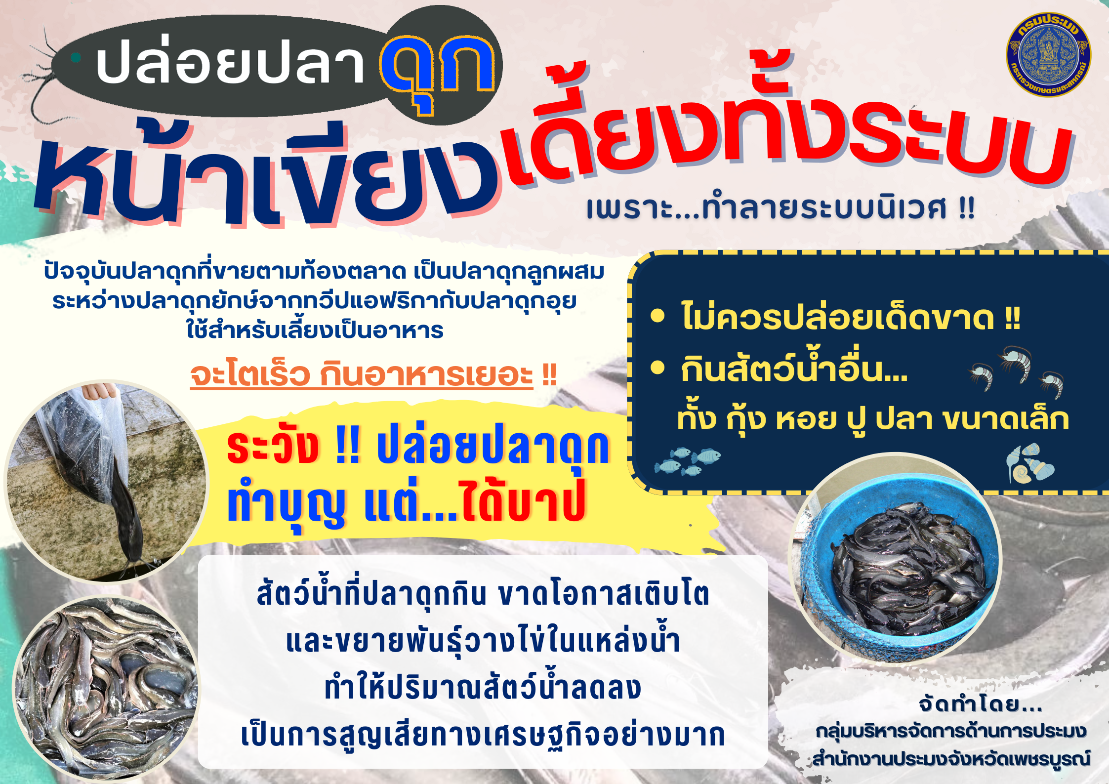 ปล่อยปลาดุกหน้าเขียง เดี้ยงทั้งระบบ !!
