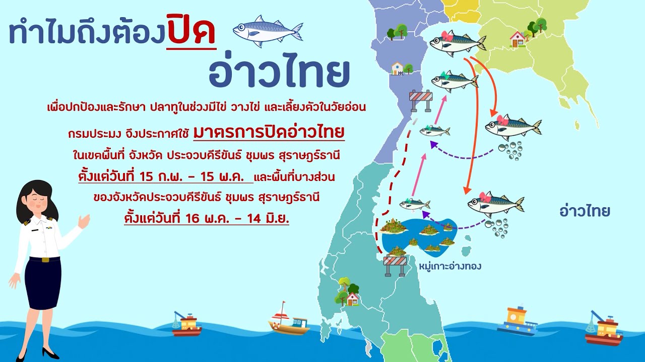 ทำไม??? ต้องปิดอ่าว   