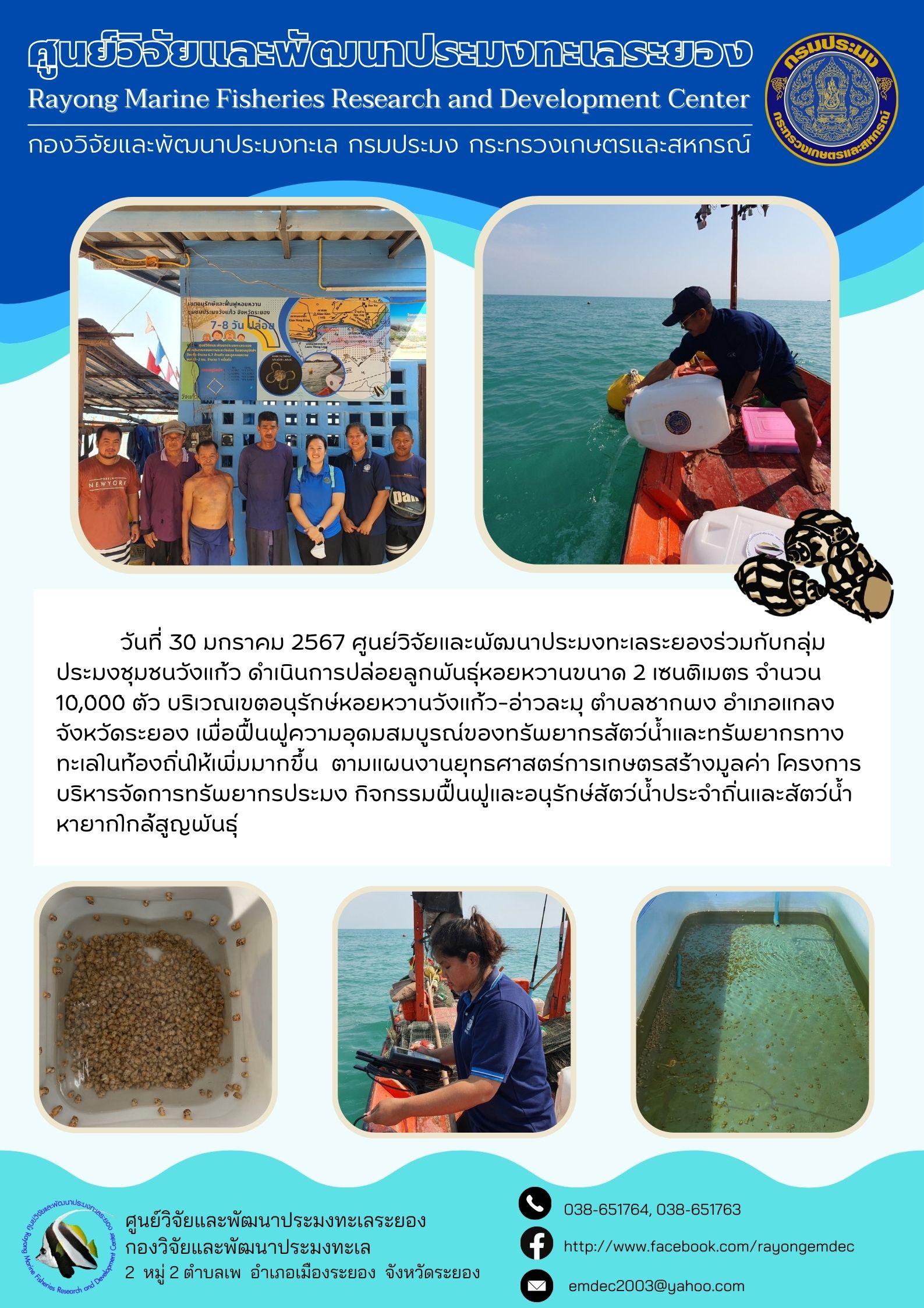 วันที่ 30 มกราคม 2567 ศูนย์วิจัยและพัฒนาประมงทะเลระยองร่วมกับกลุ่มประมงชุมชนวังแก้ว ดำเนินการปล่อยลูกพันธุ์หอยหวานขนาด 2 เซนติเมตร จำนวน 10,000 ตัว บริเวณเขตอนุรักษ์หอยหวานวังแก้ว-อ่าวละมุ ตำบลซากพง อำเภอแกลง จังหวัดระยอง เพื่อฟื้นฟูความอุดมสมบูรณ์ของทรัพยากรสัตว์น้ำและทรัพยากรทางทะเลในท้องถิ่นใก้เพิ่มมากขึ้น ฯลฯ..คลิก
