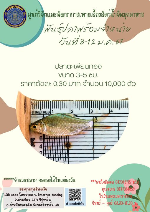 ลูกพันธุ์สัตว์น้ำพร้อมจำหน่าย 8-12 มกราคม 2567..คลิก