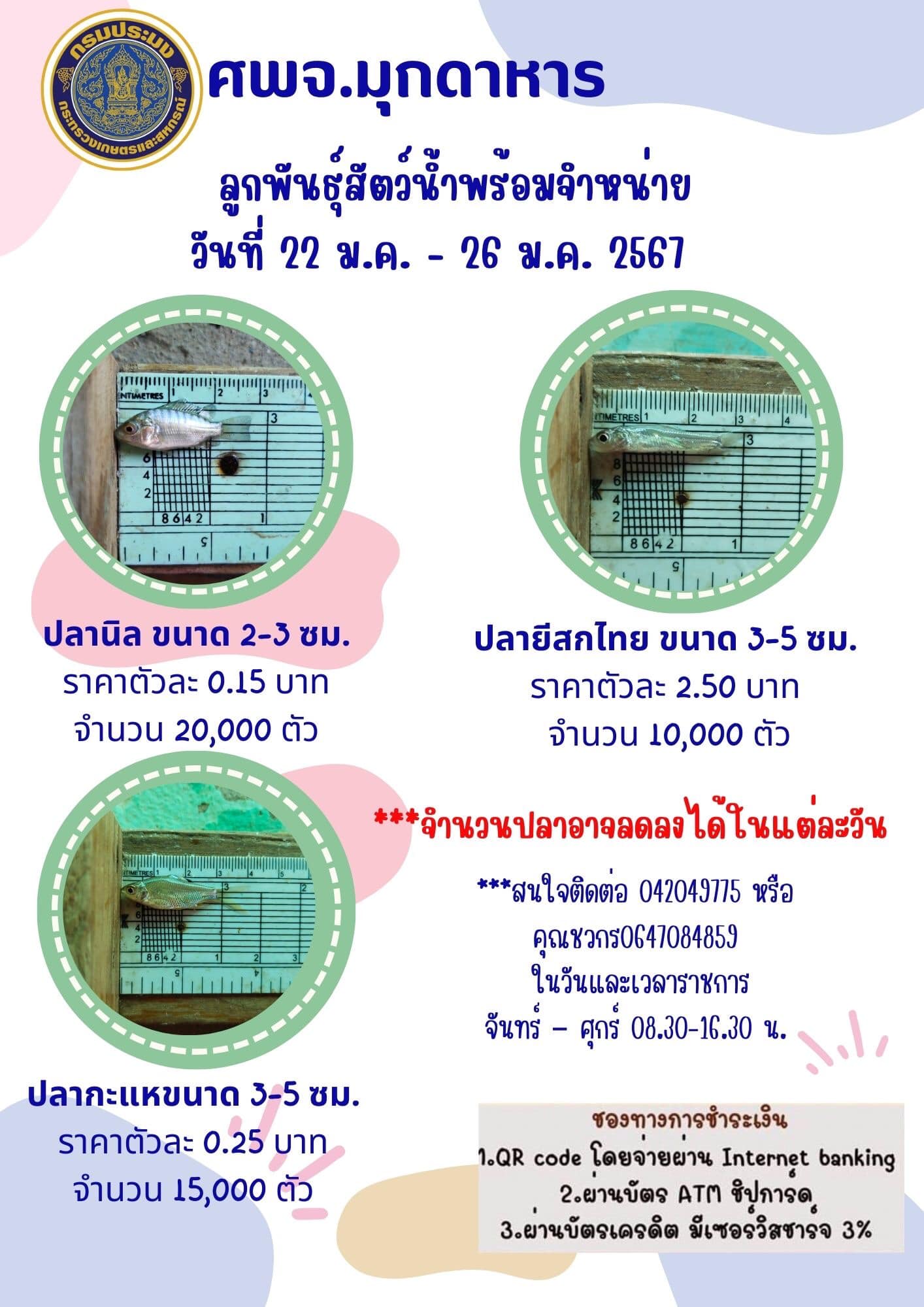 ลูกพันธุ์สัตว์น้ำพร้อมจำหน่าย 22-26 มกราคม 2567..คลิก