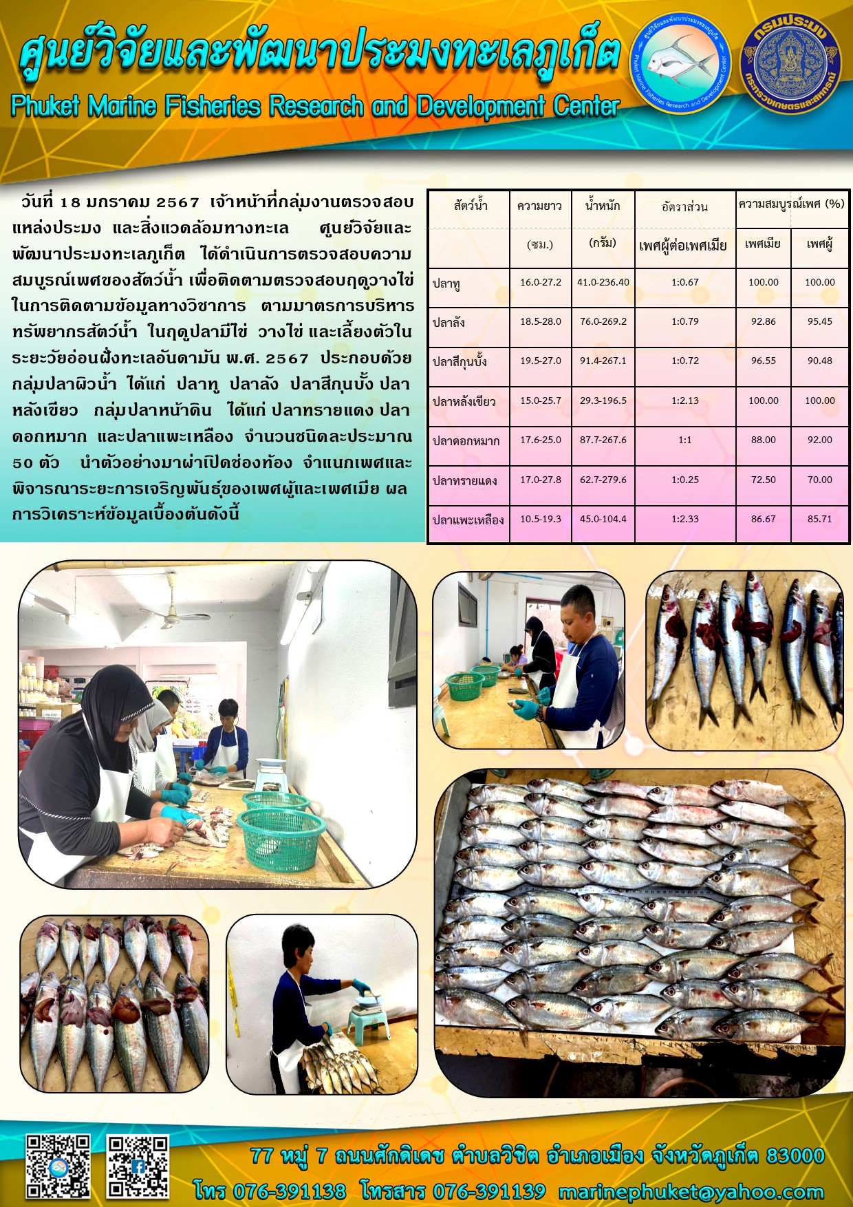 วันที่ 18 มกราคม 2567 เจ้าหน้าที่กลุ่มงานตรวจสอบแหล่งประมง และสิ่งแวดล้อมทางทะเล ศูนย์วิจัยและพัฒนาประมงทะเลภูเก็ต ได้ดำเนินการตรวจสอบความสมบูรณ์เพศของสัตว์น้ำ เพื่อติดตามตรวจสอบฤดูวางไข่ในการติดตามข้อมูลทางวิชาการ ตามมาตราการบริหารทรัพยากรสัตว์น้ำ ในฤดูปลามีไข่ วางไข่ และเลี้ยงตัวในระยะวัยอ่อนฝั่งทะเลอันดามัน พ.ศ. 2567 ฯลฯ..คลิก