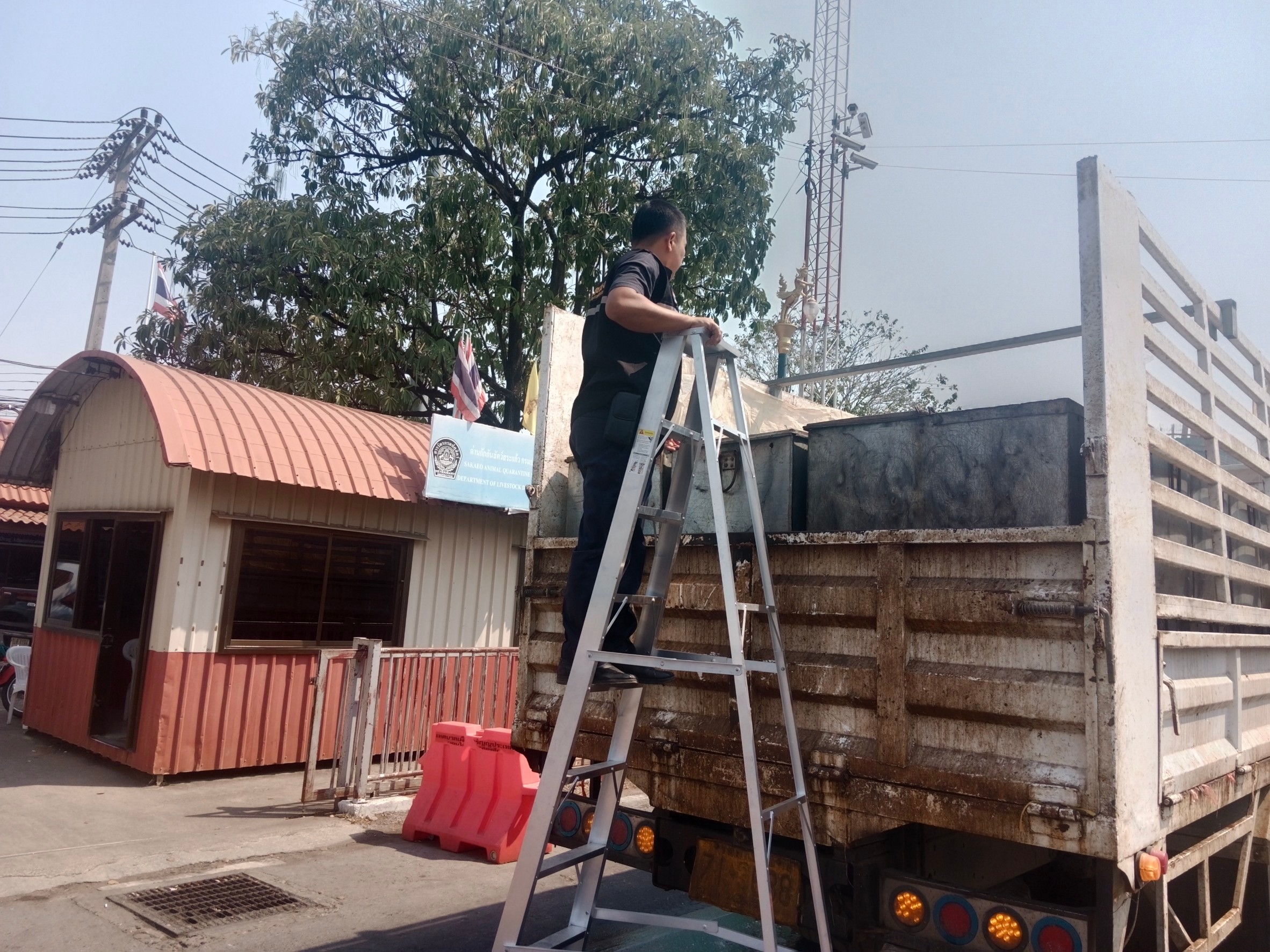 ตรวจสินค้าประมงที่นำเข้า ส่งออก ทางจุดผ่านแดนถาวรบ้านคลองลึก..คลิก