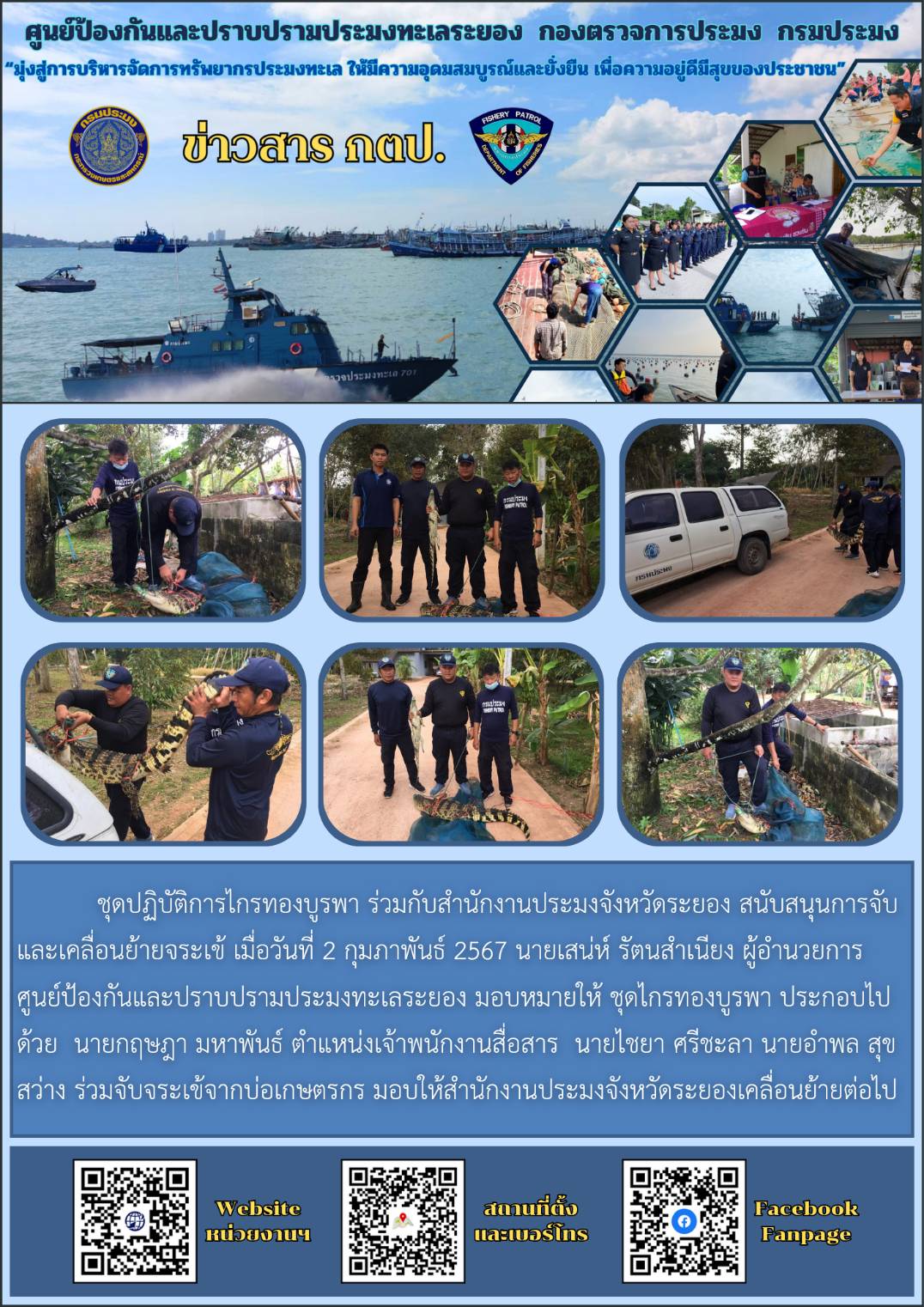 ชุดปฏิบัติการไกรทองบูรพา สนับสนุนการจับและเคลื่อนย้ายจระเข้..คลิก