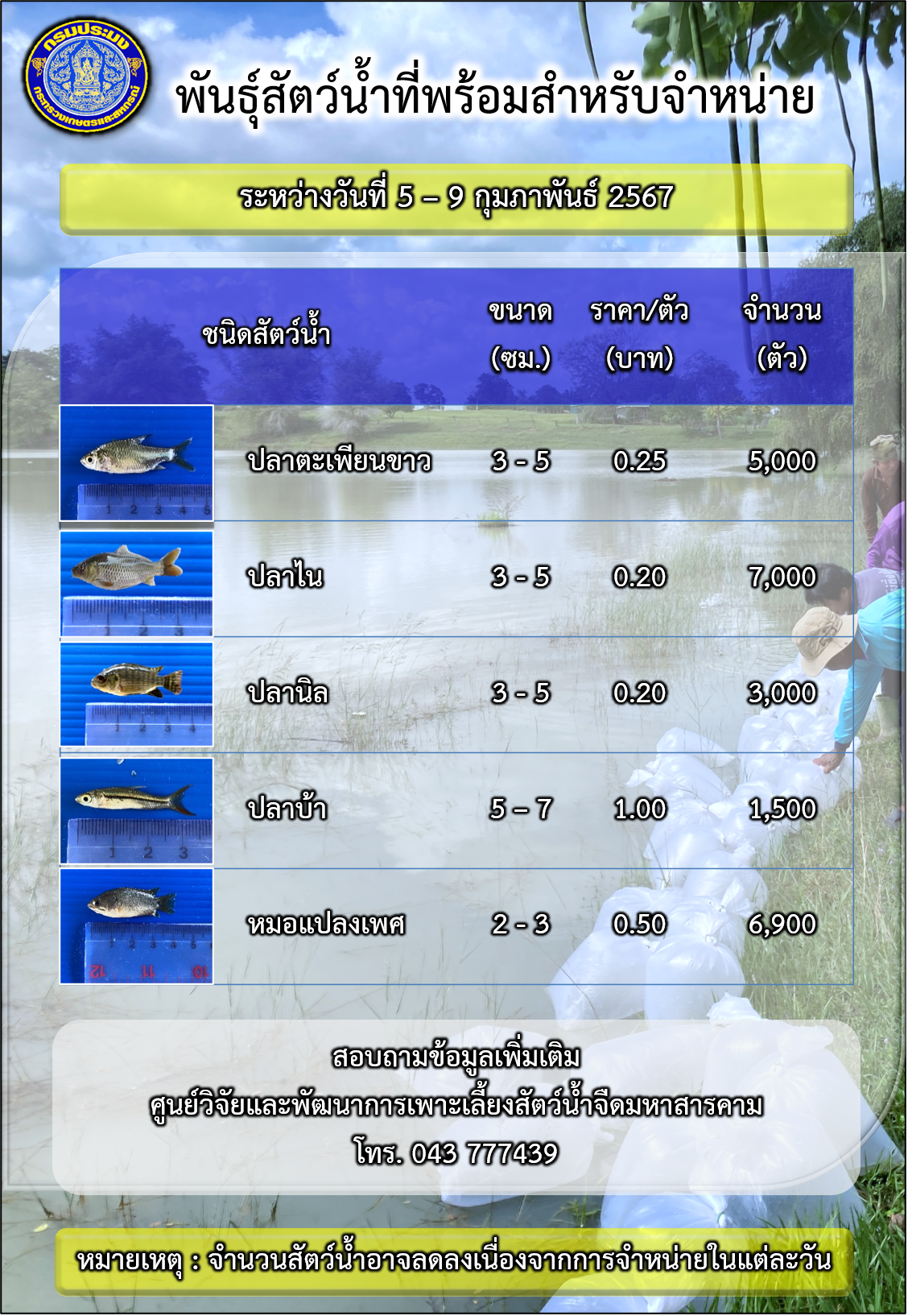 พันธุ์สัตว์น้ำที่พร้อมสำหรับจำหน่าย ระหว่างวันที่ 5 - 9 กุมภาพันธ์ 2567..คลิก