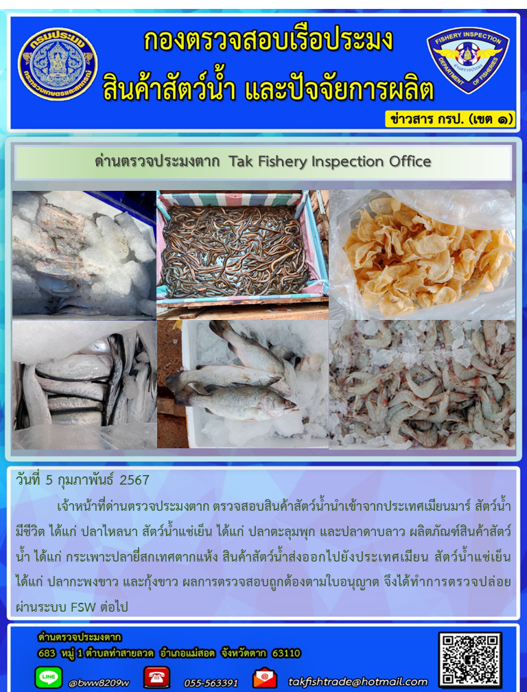 วันที่ 5 กุมภาพันธ์ 2567            เจ้าหน้าที่ด่านตรวจประมงตาก ตรวจสอบสินค้าสัตว์น้ำนำเข้าจากประเทศเมียนมาร์ สัตว์น้ำมีชีวิต ได้แก่ ปลาไหลนา สัตว์น้ำแช่เย็น ได้แก่ ปลาตะลุมพุก และปลาดาบลาว ผลิตภัณฑ์สินค้าสัตว์น้ำ ได้แก่ กระเพาะปลายี่สกเทศตากแห้ง สินค้าสัตว์น้ำส่งออกไปยังประเทศเมียน สัตว์น้ำแช่เย็น ได้แก่ ปลากะพงขาว และกุ้งขาว ผลการตรวจสอบถูกต้องตามใบอนุญาต จึงได้ทำการตรวจปล่อยผ่านระบบ FSW ต่อไป..คลิก