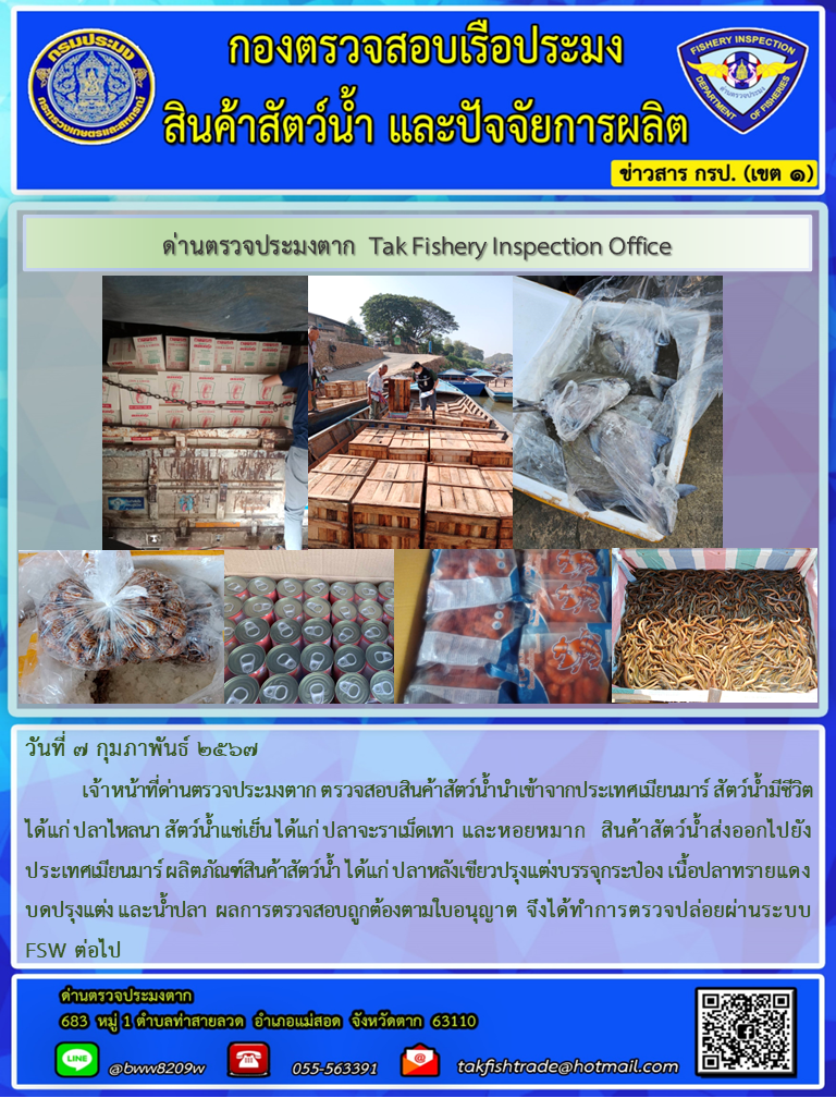 วันที่ 7 กุมภาพันธ์ 2567           เจ้าหน้าที่ด่านตรวจประมงตาก ตรวจสอบสินค้าสัตว์น้ำนำเข้าจากประเทศเมียนมาร์ สัตว์น้ำมีชีวิต ได้แก่ ปลาไหลนา สัตว์น้ำแช่เย็น ได้แก่ ปลาจะราเม็ดเทา และหอยหมาก  สินค้าสัตว์น้ำส่งออกไปยังประเทศเมียนมาร์ ผลิตภัณฑ์สินค้าสัตว์น้ำ ได้แก่ ปลาหลังเขียวปรุงแต่งบรรจุกระป๋อง เนื้อปลาทรายแดงบดปรุงแต่ง และน้ำปลา  ผลการตรวจสอบถูกต้องตามใบอนุญาต จึงได้ทำการตรวจปล่อยผ่านระบบ FSW ต่อไป..คลิก