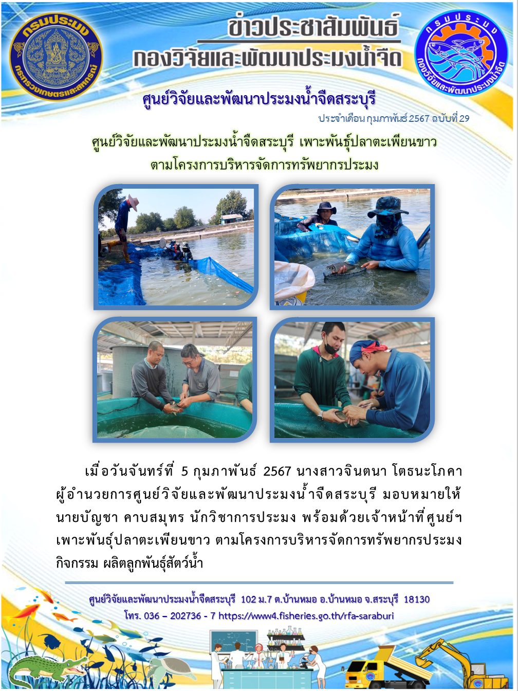 ศูนย์วิจัยและพัฒนาประมงน้ำจืดสระบุรี เพาะพันธุ์ปลาตะเพียนขาว ตามโครงการบริหารจัดการทรัพยากรประมง..คลิก