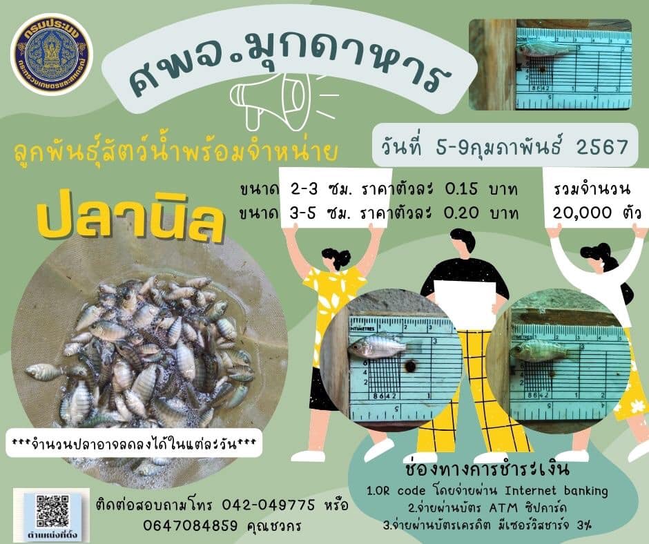 ลูกพันธุ์สัตว์น้ำพร้อมจำหน่าย 5-9 กุมภาพันธ์ 2567..คลิก