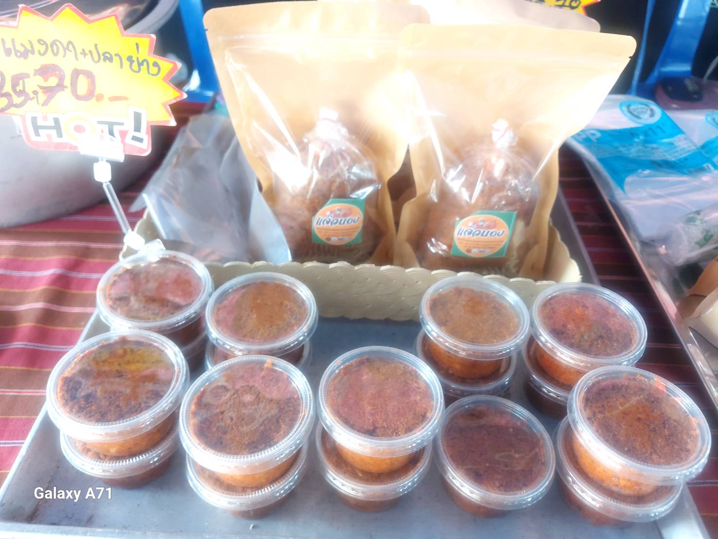 ออกให้บริการถ่ายทอดความรู้ฐานเศรษฐกิจพอพียง (ด้านประมง)..คลิก