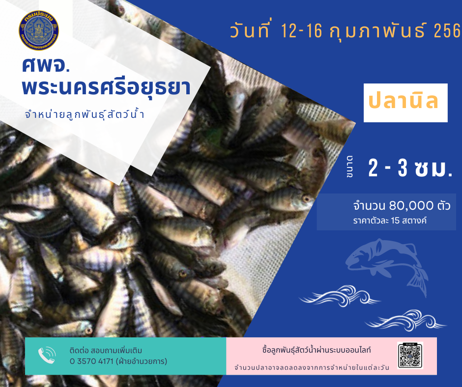 ชนิดพันธุ์สัตว์น้ำพร้อมจำหน่าย (12-16 กุมภาพันธ์ 2567) ศพจ.พระนครศรีอยุธยา..คลิก