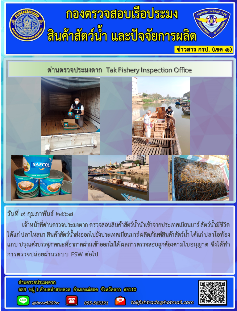 วันที่ 9 กุมภาพันธ์ 2567          เจ้าหน้าที่ด่านตรวจประมงตาก ตรวจสอบสินค้าสัตว์น้ำนำเข้าจากประเทศเมียนมาร์ สัตว์น้ำมีชีวิต ได้แก่ ปลาไหลนา สินค้าสัตว์น้ำส่งออกไปยังประเทศเมียนมาร์ ผลิตภัณฑ์สินค้าสัตว์น้ำ ได้แก่ ปลาโอท้องแถบ ปรุงแต่งบรรจุภาชนะที่อากาศผ่านเข้าออกไม่ได้ ผลการตรวจสอบถูกต้องตามใบอนุญาต จึงได้ทำการตรวจปล่อยผ่านระบบ FSW ต่อไป..คลิก