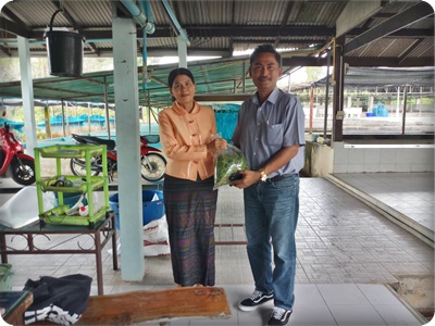 การสนับสนุนพันธุ์แหนแดง เพื่อเป็นอาหารลดต้นทุน