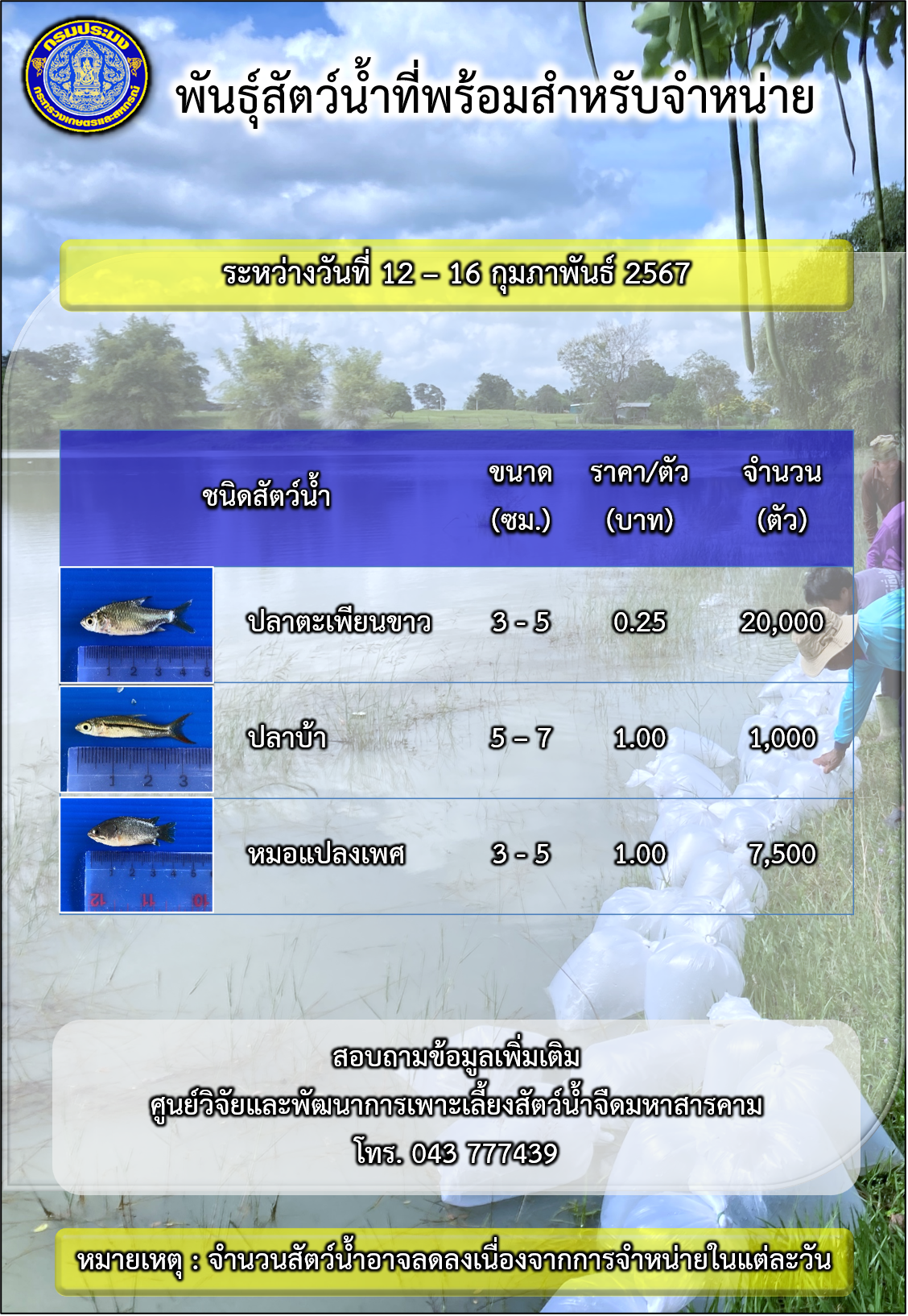 พันธุ์สัตว์น้ำที่พร้อมสำหรับจำหน่าย ระหว่างวันที่ 12– 16 กุมภาพันธ์ 2567..คลิก