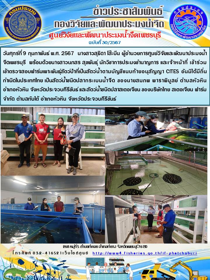 ข่าวประชาสัมพันธ์ครั้งที่ 30/2567..คลิก
