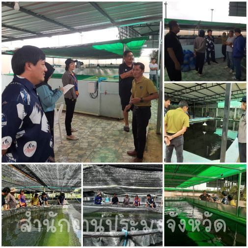 ผลการปฏิบัติงานประจำวันพุธ ที่ 14 กุมภาพันธ์ 2567..คลิก