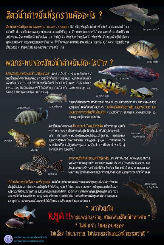 สัตว์น้ำต่างถิ่น และปลาหมอสีคางดำ..คลิก