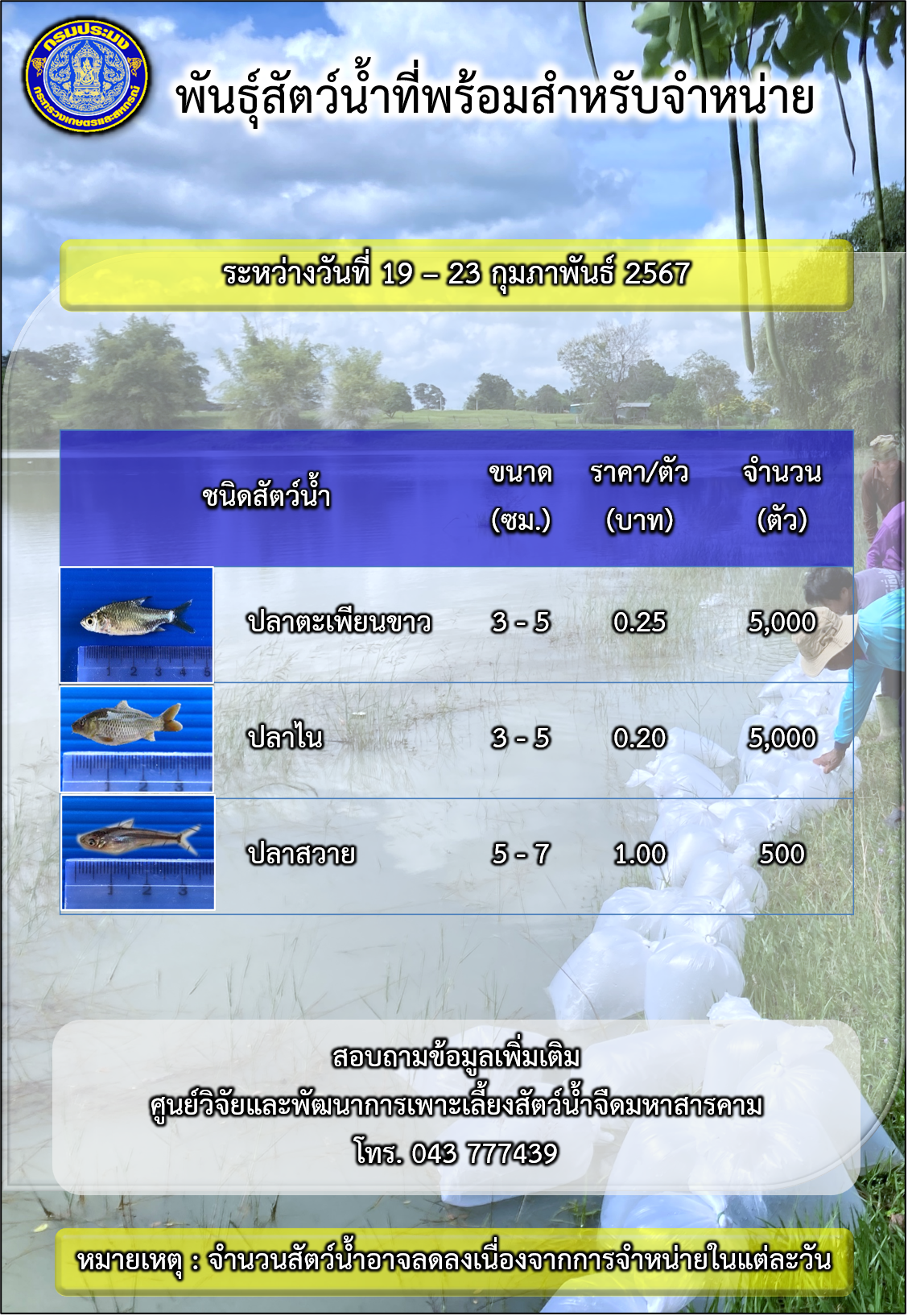 พันธุ์สัตว์น้ำที่พร้อมสำหรับจำหน่าย ระหว่างวันที่ 19 – 23 กุมภาพันธ์ 2567..คลิก