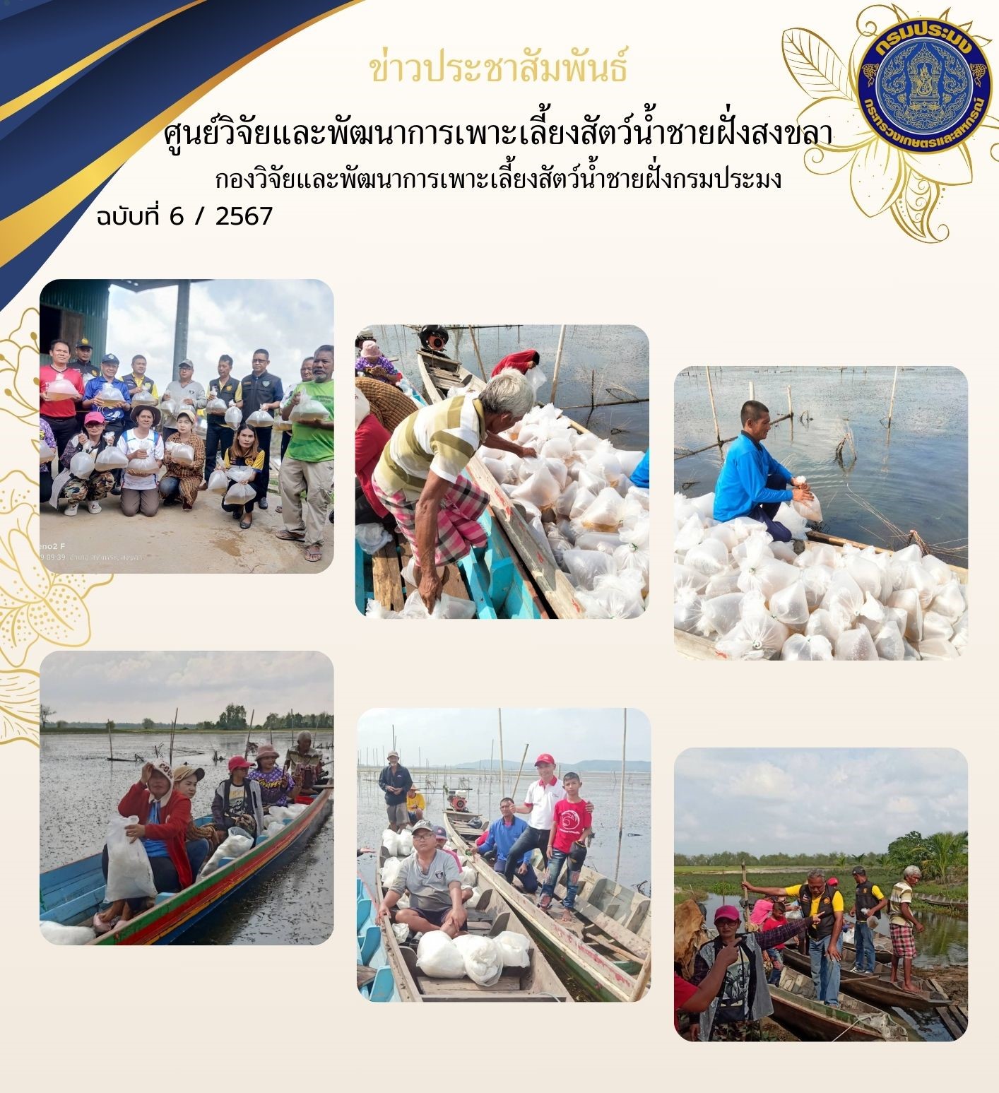 เมื่อวันที่ 9 กุมภาพันธ์ 2567 นางสาวปริศนา คลิ้งสุขคล้าย ผู้อำนวยการศูนย์วิจัยและพัฒนาการเพาะเลี้ยงสัตว์น้ำชายฝั่งสงขลา มอบหมายให้นายชลิต สง่างาม นักวิชาการประมงชำนาญการ ส่งมอบพันธุ์กุ้งกุลาดำระยะ PL 16 ให้แก่ประมงอำเภอสทิ้งพระ..คลิก