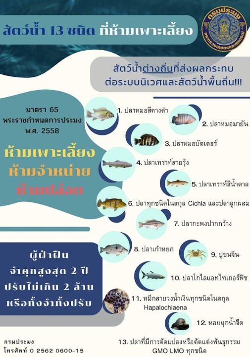 สัตว์น้ำต่างถิ่นที่ส่งผลกระทบต่อระบบนิเวศและสัตว์น้ำพื้นถิ่น..คลิก