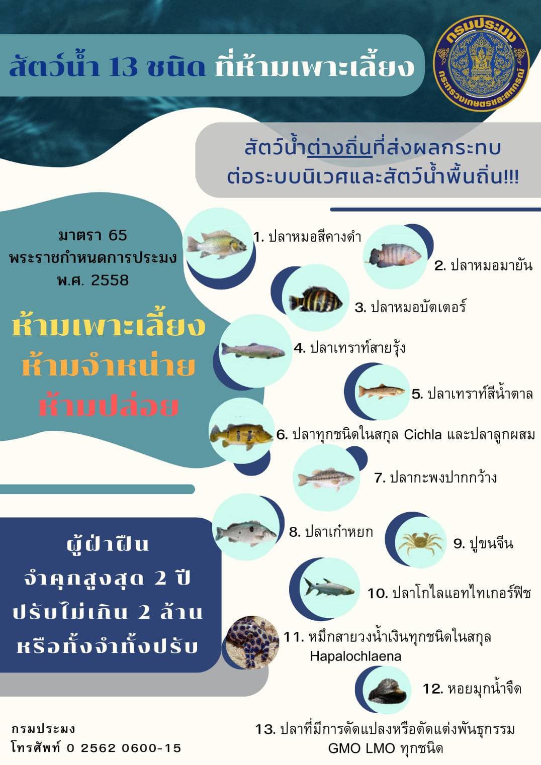 กรมประมง แจ้งเตือน…สัตว์น้ำต่างถิ่นที่ส่งผลกระทบต่อระบบนิเวศและสัตว์น้ำพื้นถิ่น