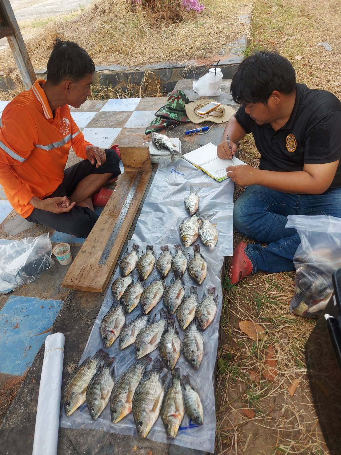 ลงพื้นที่ดำเนินการประเมินผลจับสัตว์น้ำต่อหน่วยการลงแรงประมง (CPUE) ก่อนเปิดจับจำหน่ายพันธุ์ปลา..คลิก