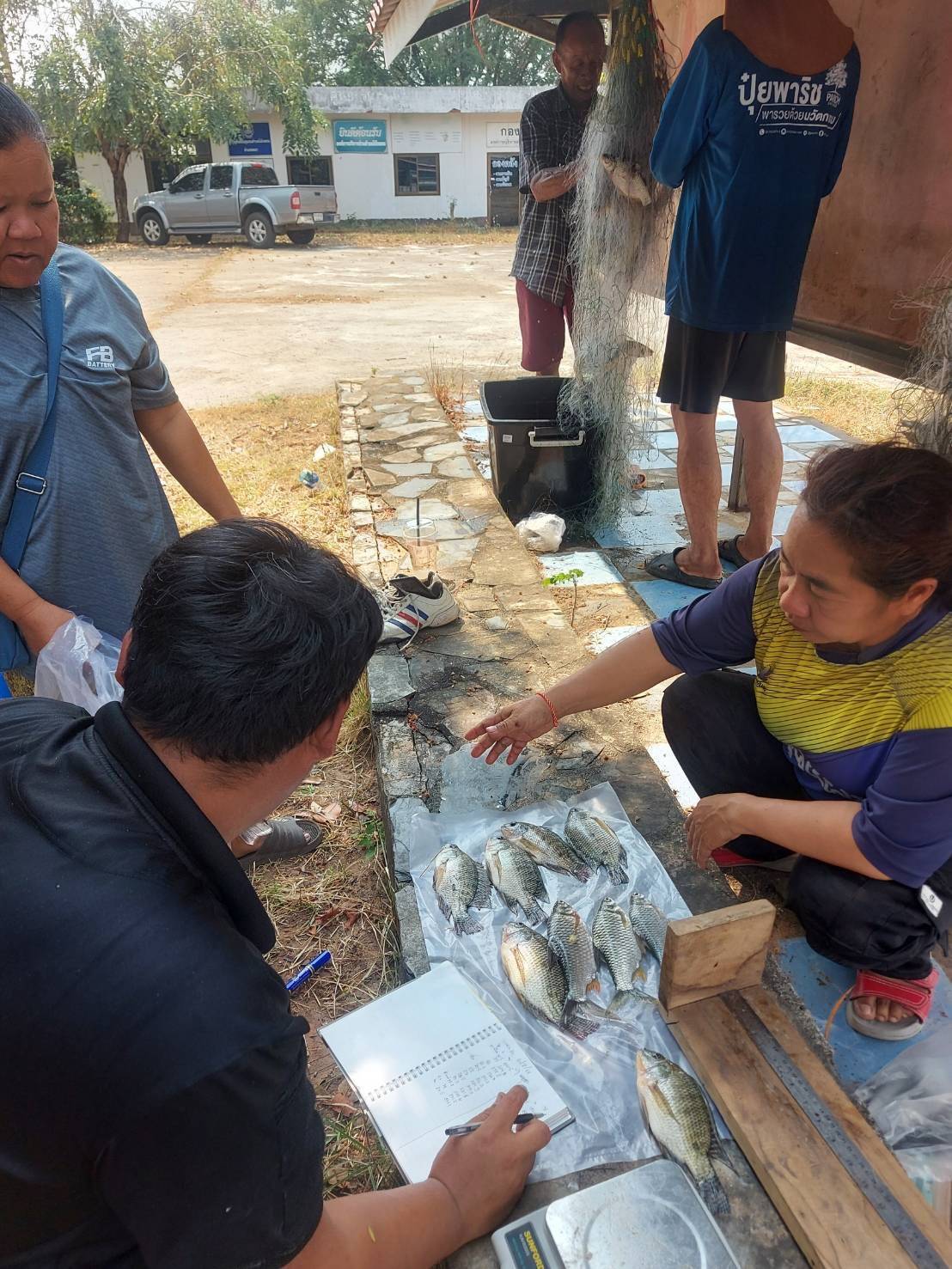 ลงพื้นที่ดำเนินการประเมินผลจับสัตว์น้ำต่อหน่วยการลงแรงประมง (CPUE) ก่อนเปิดจับจำหน่ายพันธุ์ปลา